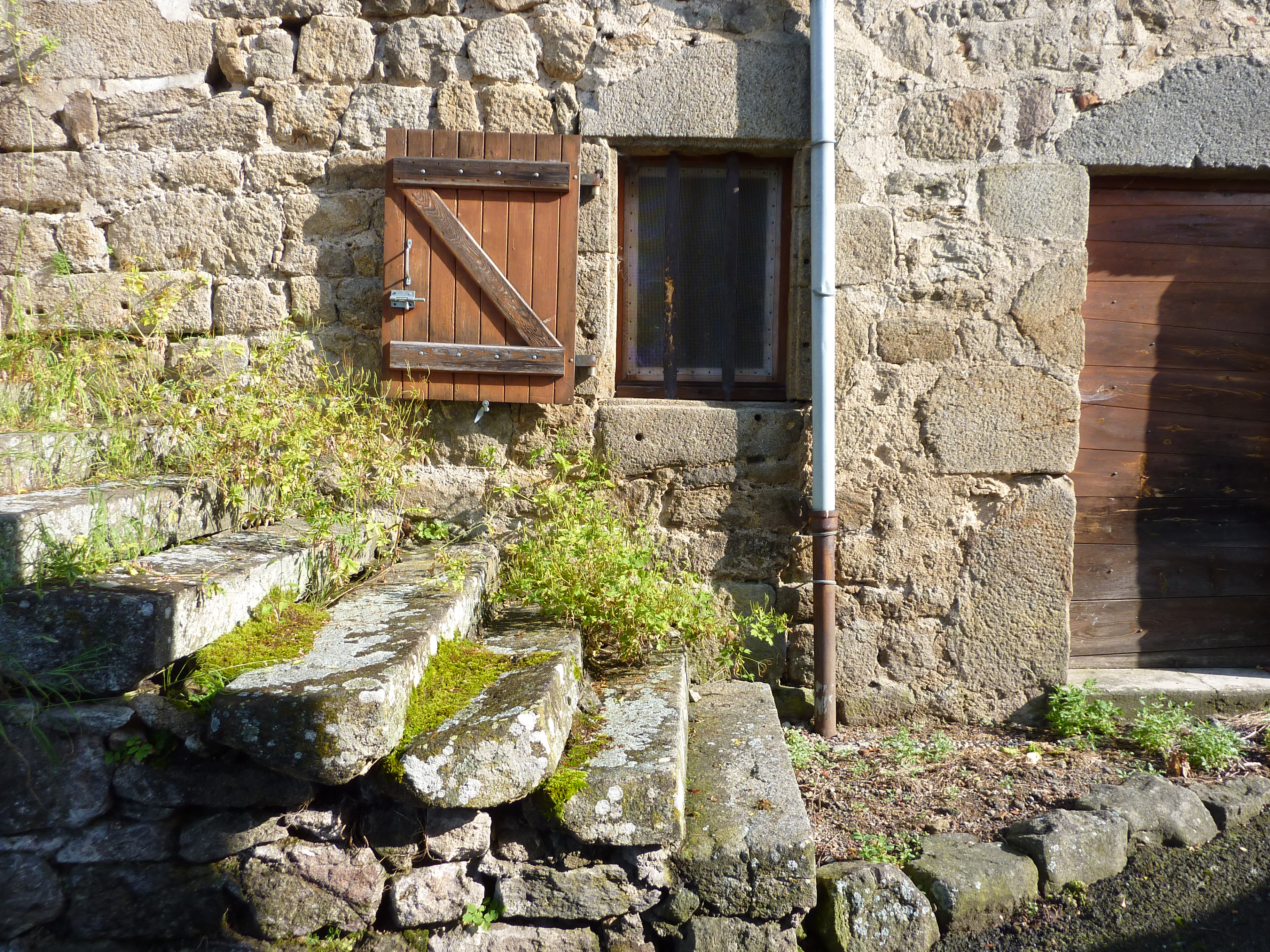 Photo1